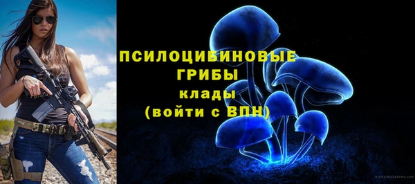 экстази Алексин